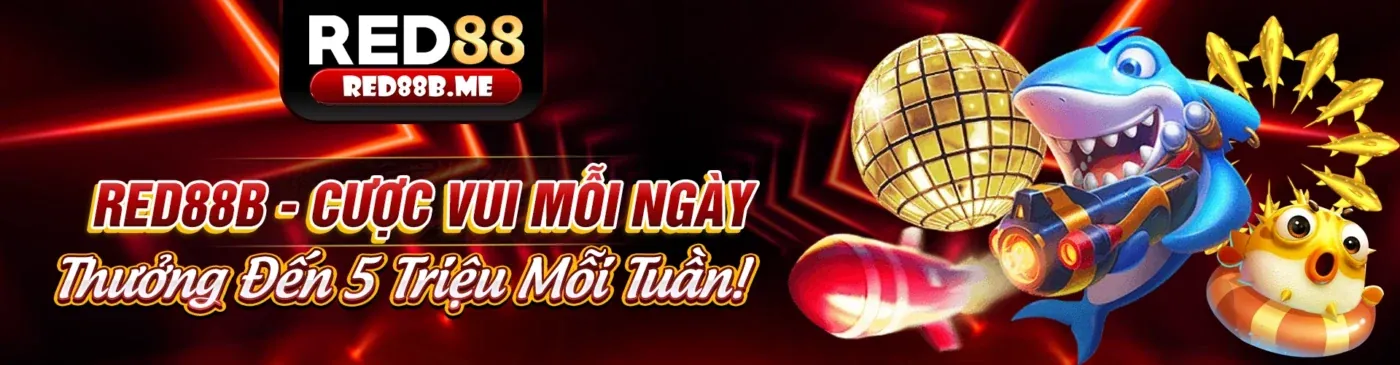 Hình ảnh chính của liên kết sx666 mới nhất